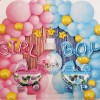 Baby Party -  Girl or Boy