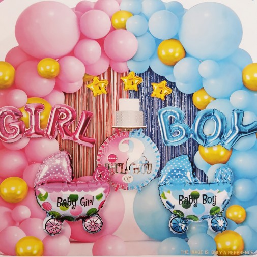 Baby Party -  Girl or Boy